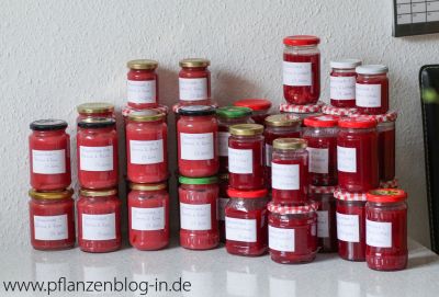 Johannisbeer-Marmelade