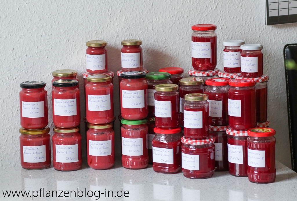 Rote Johannisbeermarmelade - Meine 2 Lieblings-Rezepte 2014 » Majas ...