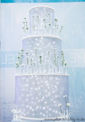 The Ice Hotel, Messe Frankfurt