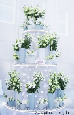 The Ice Hotel, Messe Frankfurt