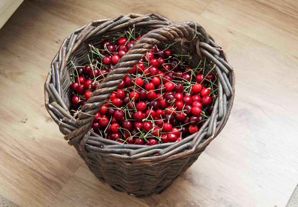 Kirschmarmelade mit Kakao und Rum - 2 Rezepte für 2015 » Majas Pflanzenblog