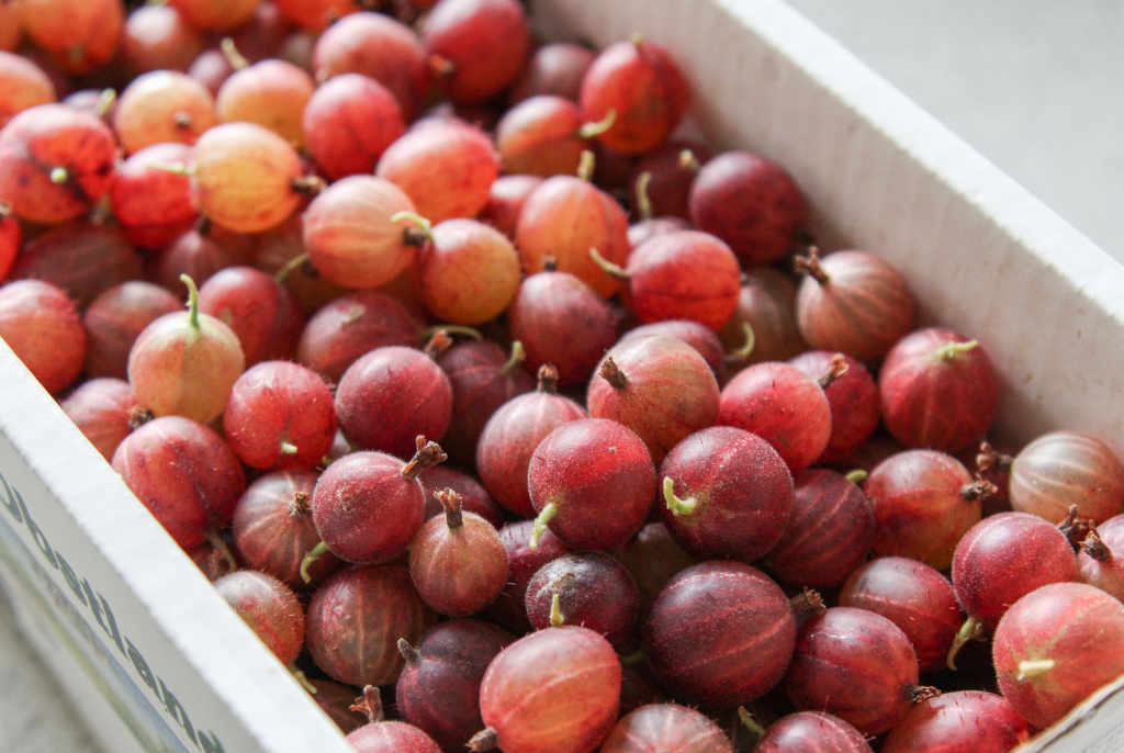Stachelbeermarmelade mit Erdbeer oder Pfirsich - 2 tolle Rezepte für ...