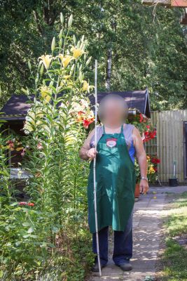 2,40m hohe Kletter-Baumlilien