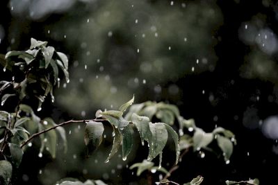 Weiches Regenwasser