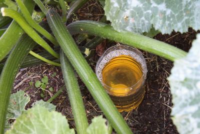 Wassertank bei Zucchini