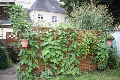 Sitzplatz Anfang August 2016