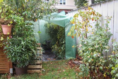 Gewächshaus im Oktober