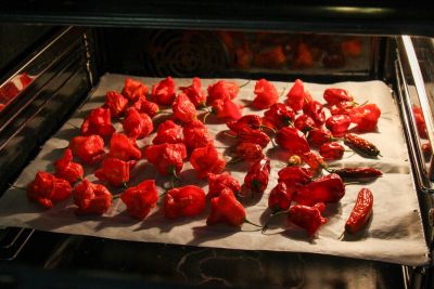 Chilis im Backofen trocknen