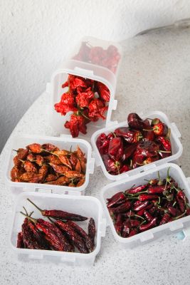Getrocknete Chili-Ernte 2016