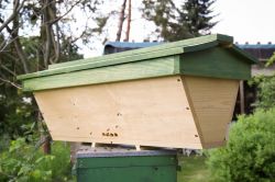 Top-Bar-Hive Bienenbeute