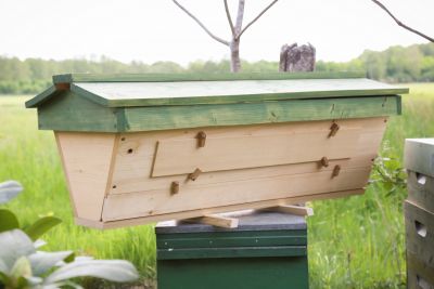 Top-Bar-Hive Bienenbeute