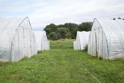 Gewächshäuser Biogärtnerei Auenhof